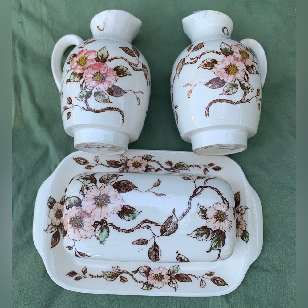 Vintage Nasco Springtime vinegar and oil,Cruet set and butter dish